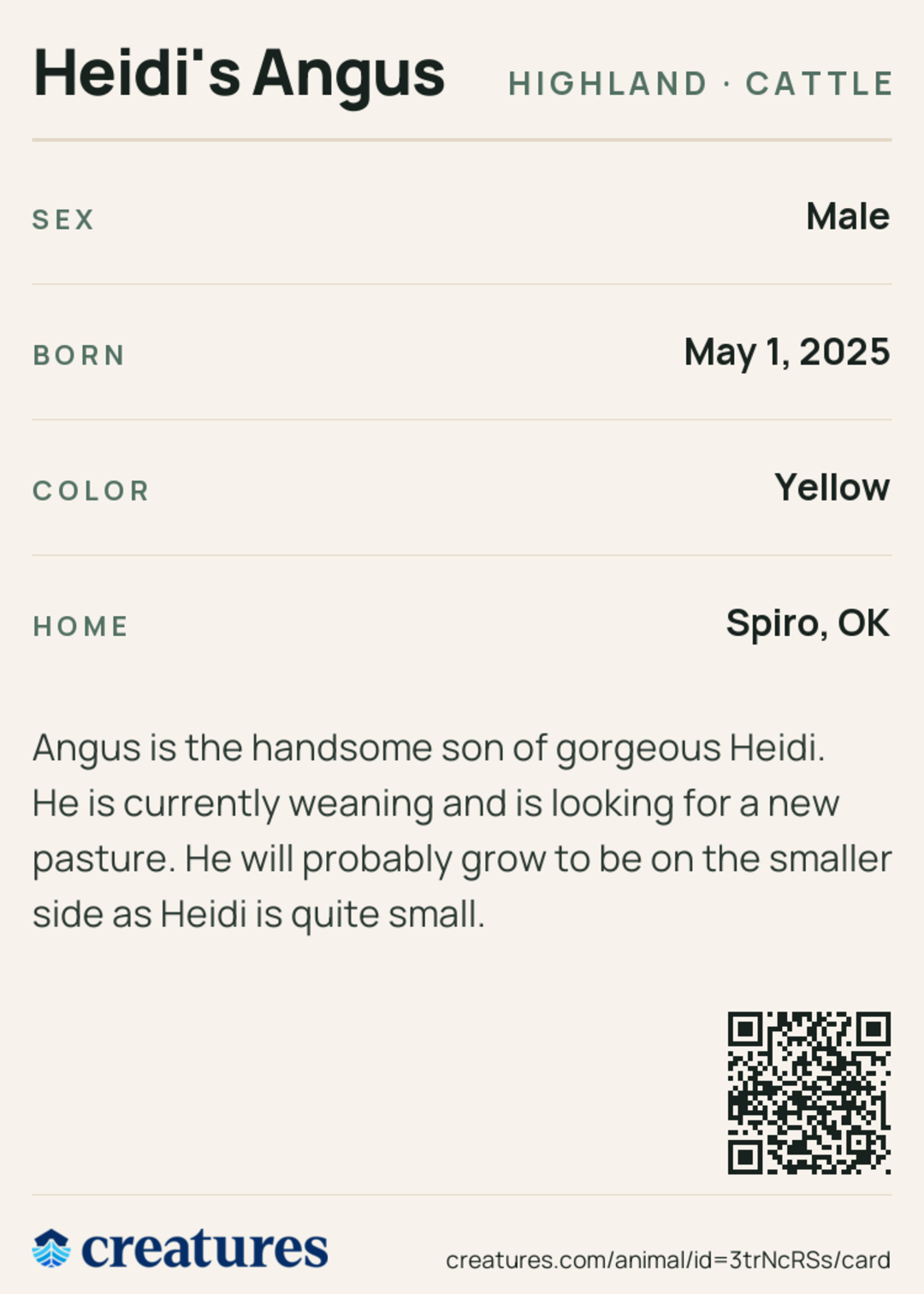Heidi's Angus Creature Card back