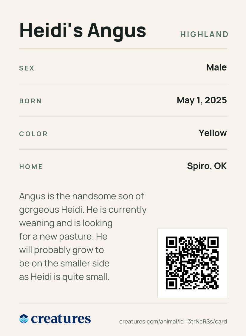 Heidi's Angus Creature Card back