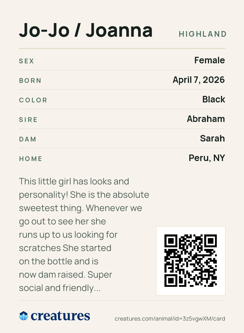 Jo-Jo / Joanna Creature Card back