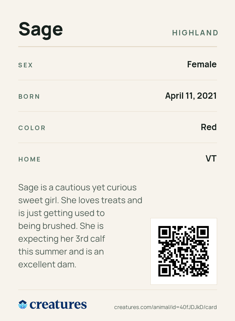 Sage Creature Card back