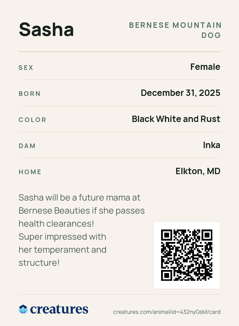 Sasha Creature Card back