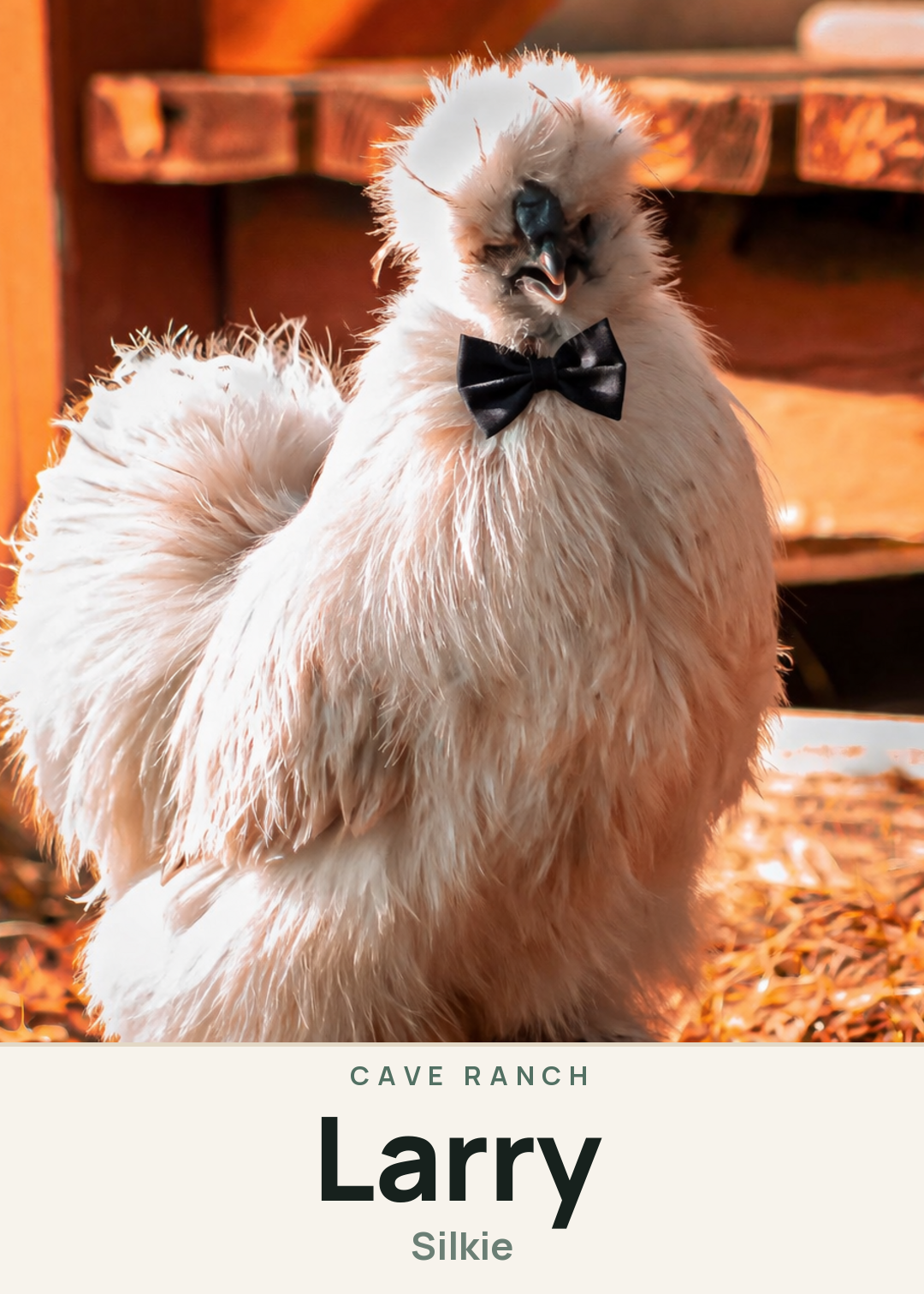Larry Creature Card