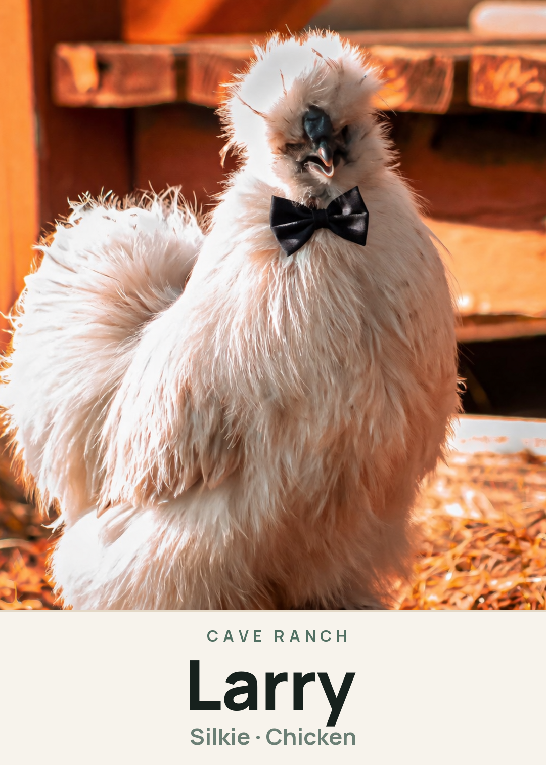 Larry Creature Card