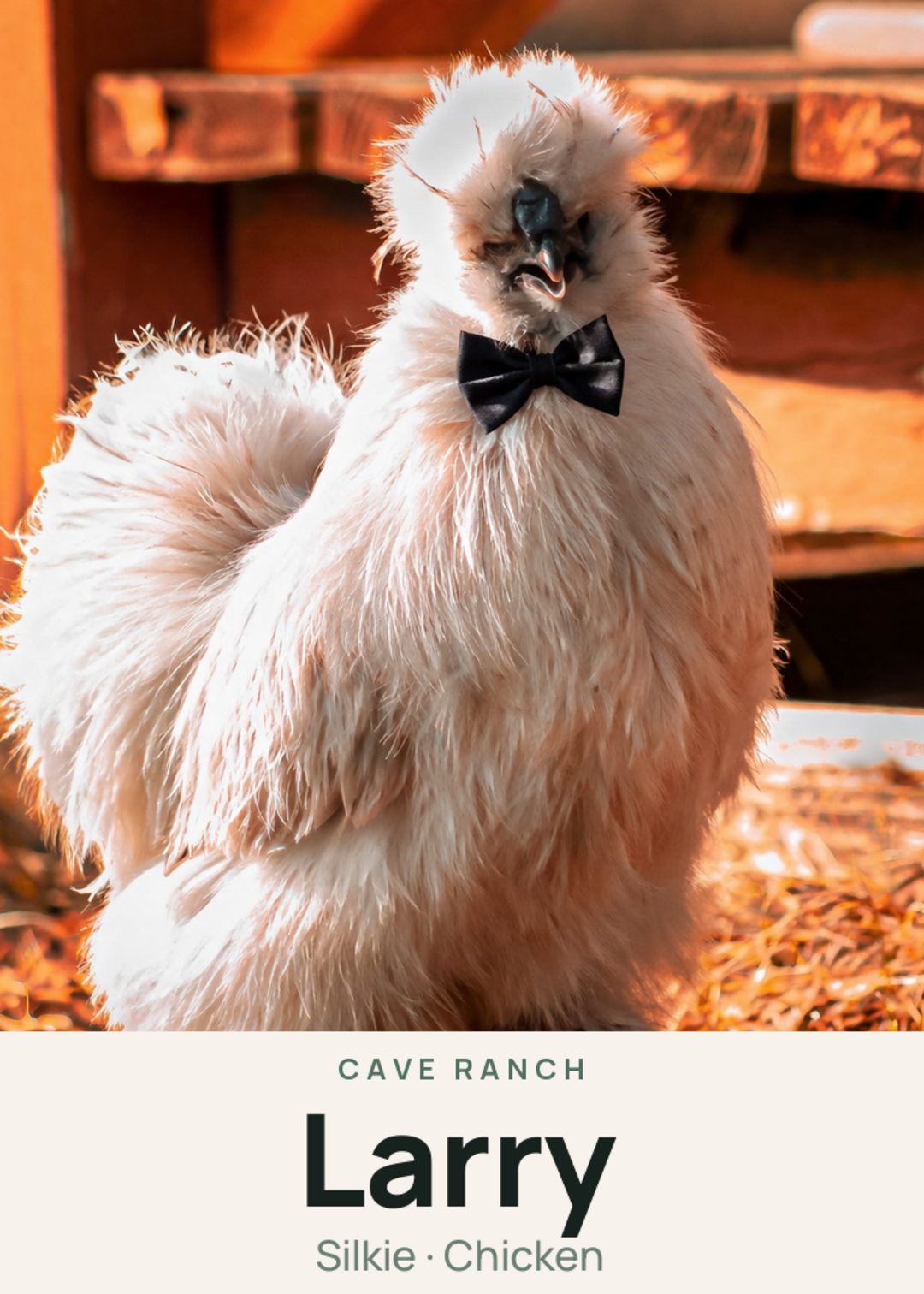 Larry Creature Card