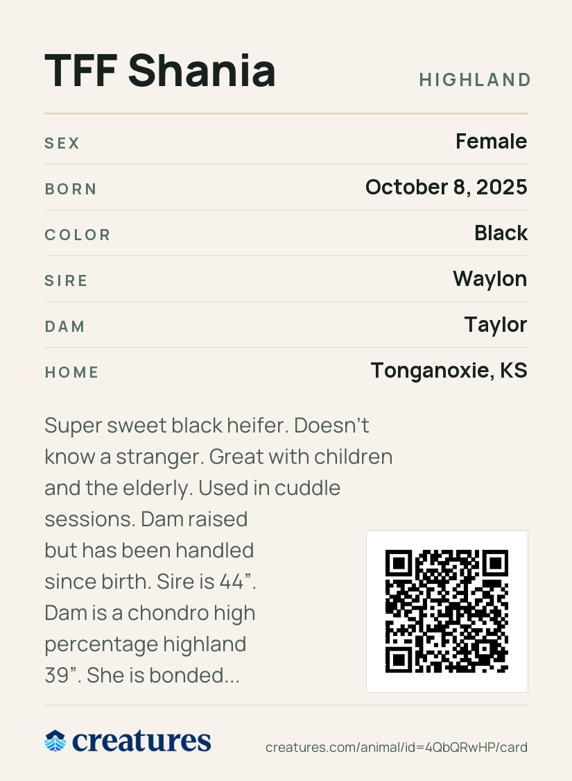 TFF Shania Creature Card back