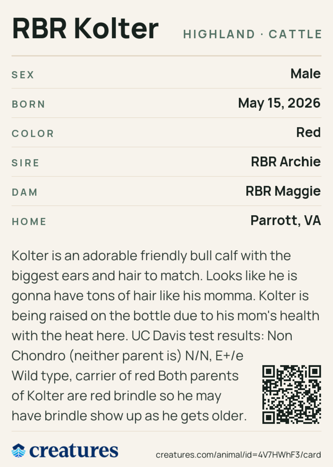 RBR Kolter Creature Card back