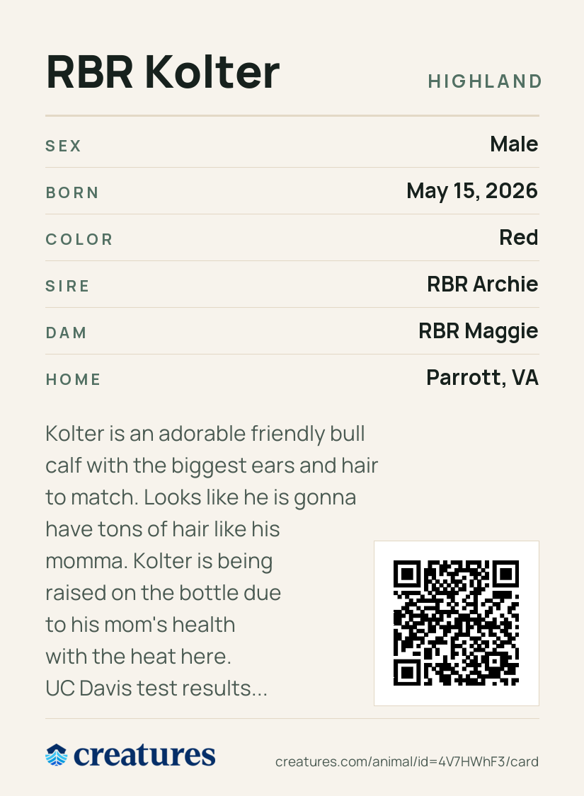 RBR Kolter Creature Card back
