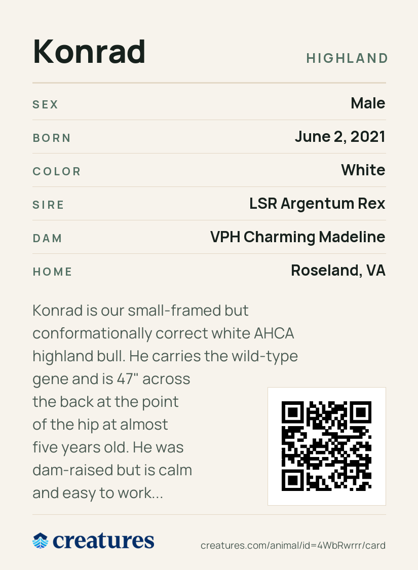 Konrad Creature Card back