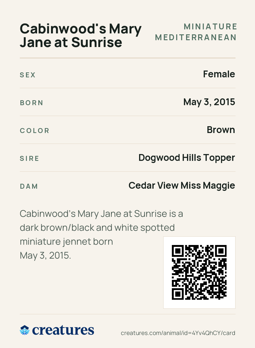 Cabinwood's Mary Jane at Sunrise Creature Card back
