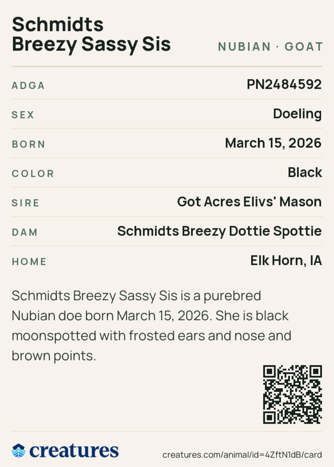 Schmidts Breezy Sassy Sis Creature Card back