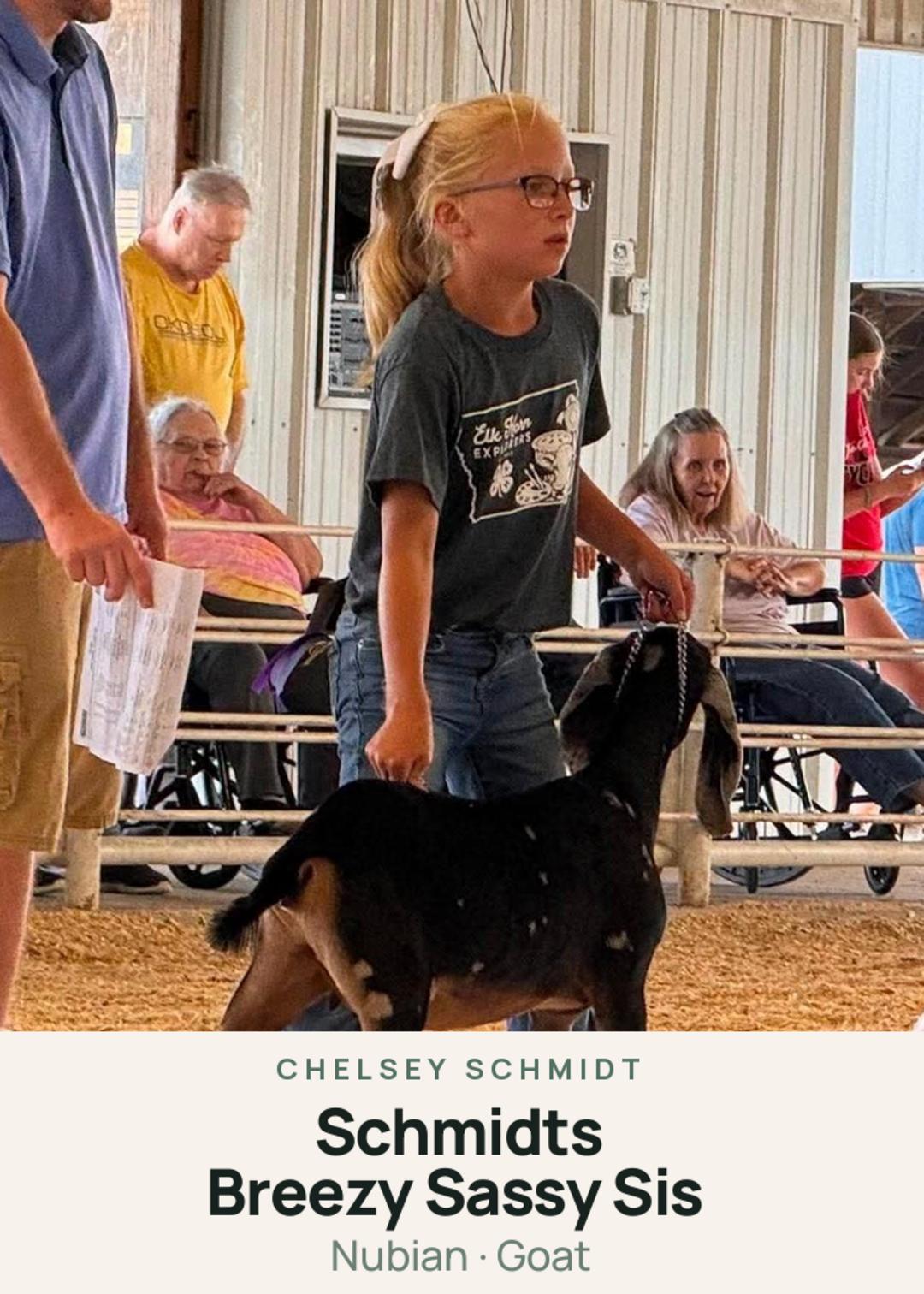 Schmidts Breezy Sassy Sis Creature Card