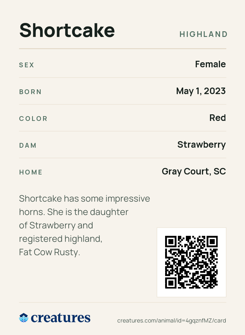 Shortcake Creature Card back