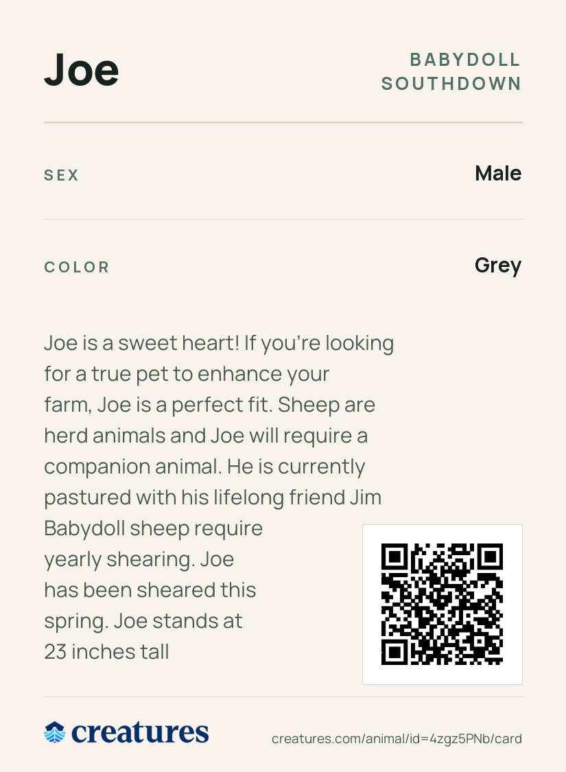 Joe Creature Card back
