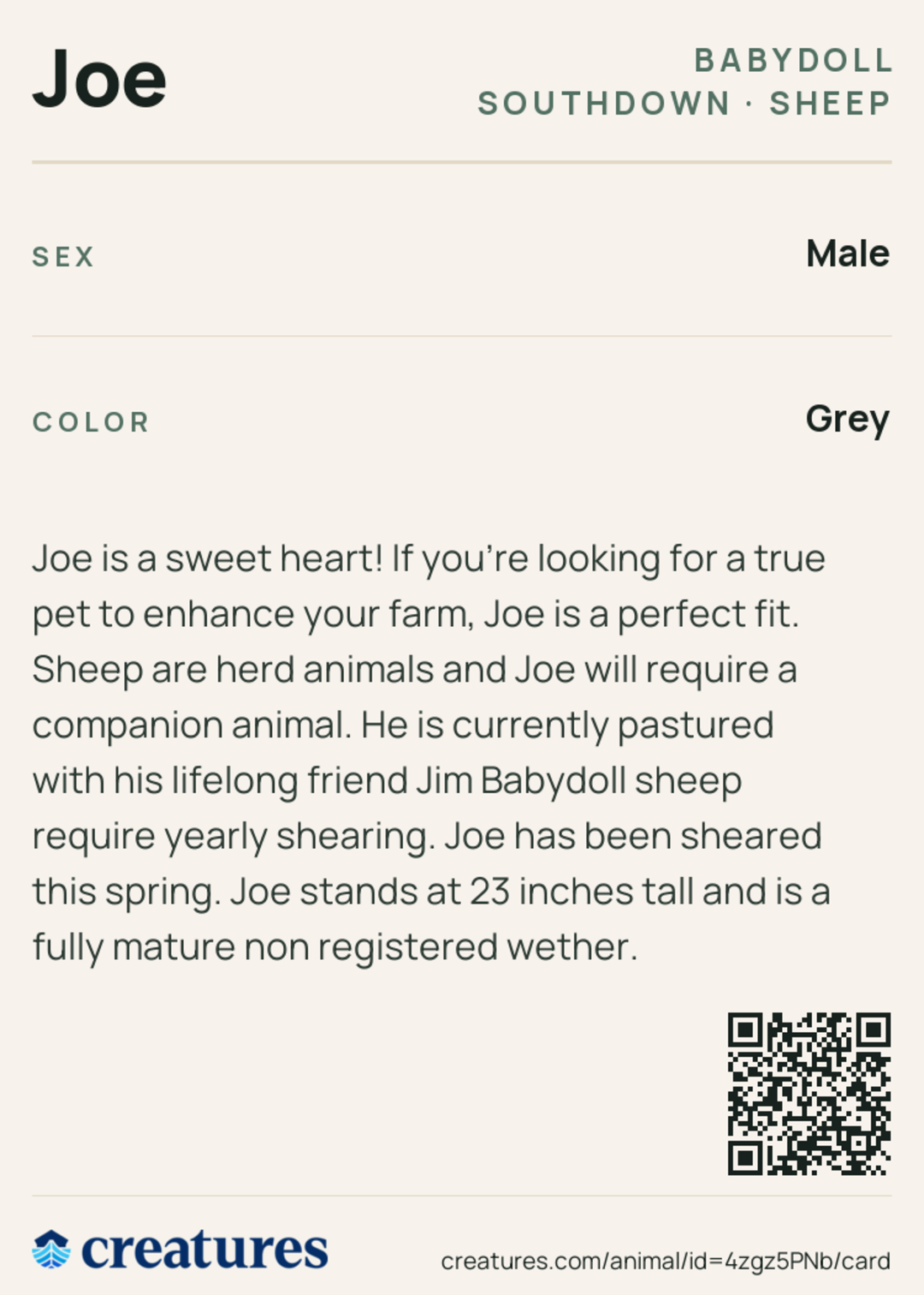Joe Creature Card back