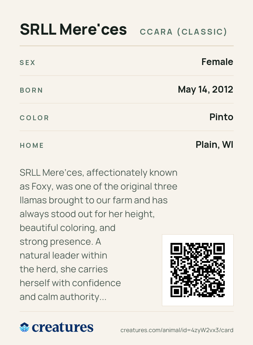 SRLL Mere'ces Creature Card back