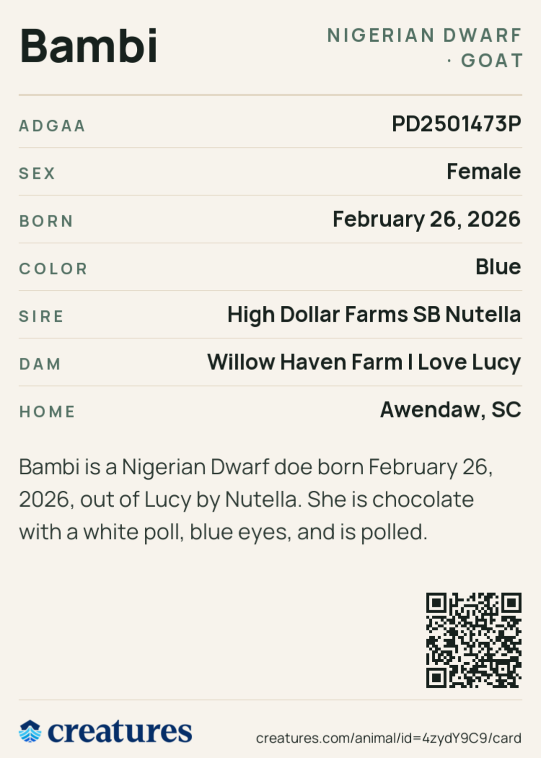 Bambi Creature Card back