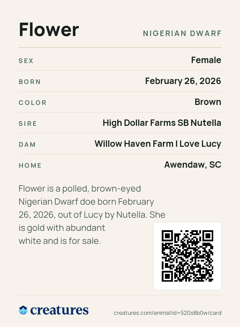 Flower Creature Card back