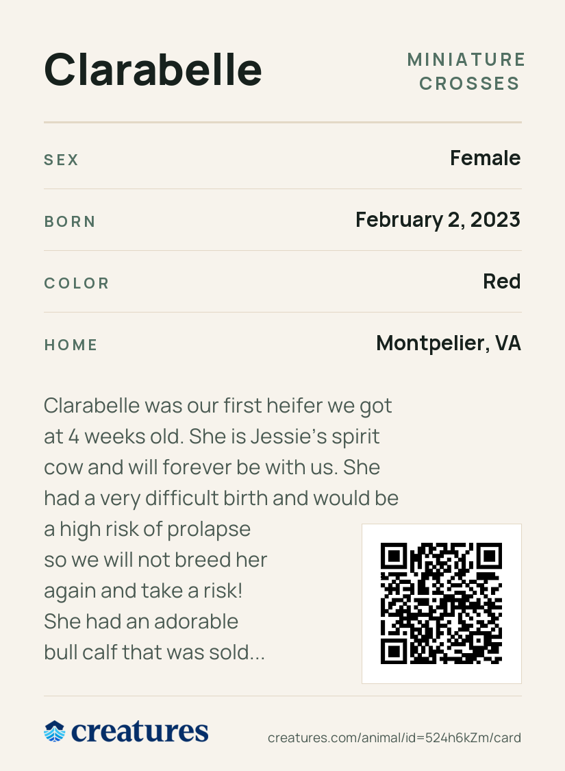Clarabelle Creature Card back