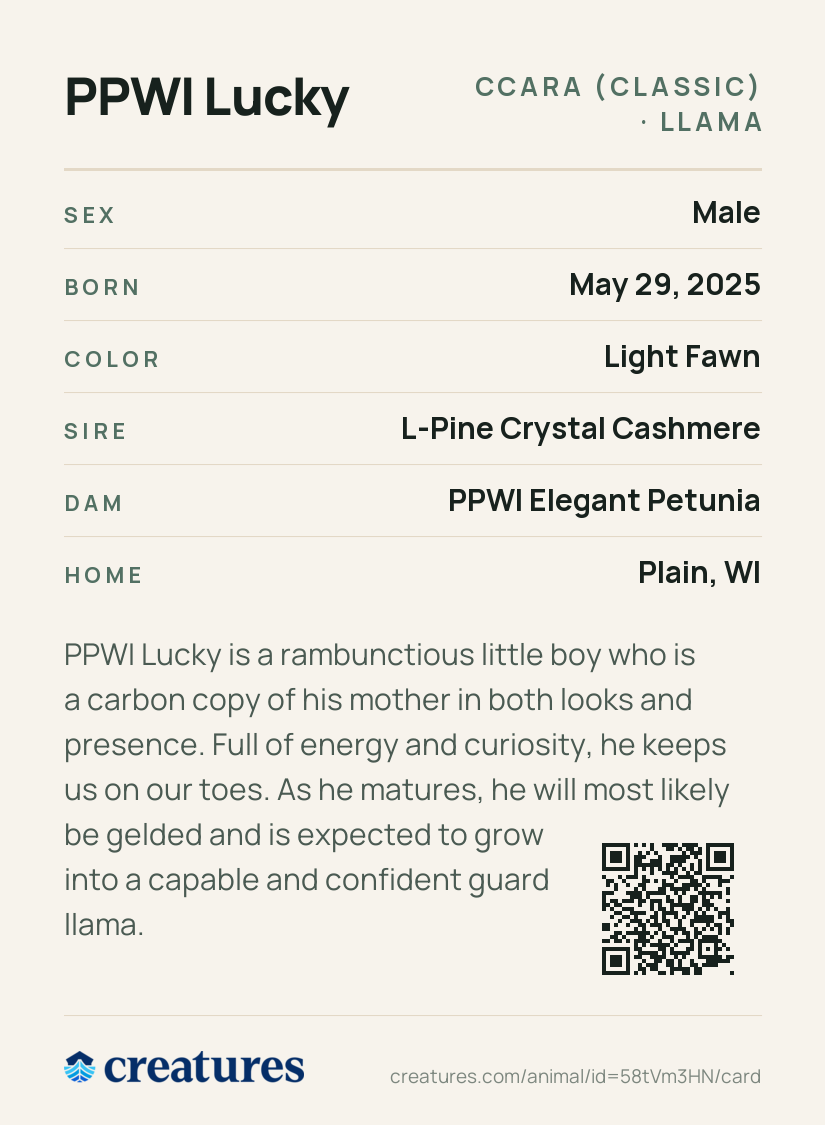 PPWI Lucky Creature Card back