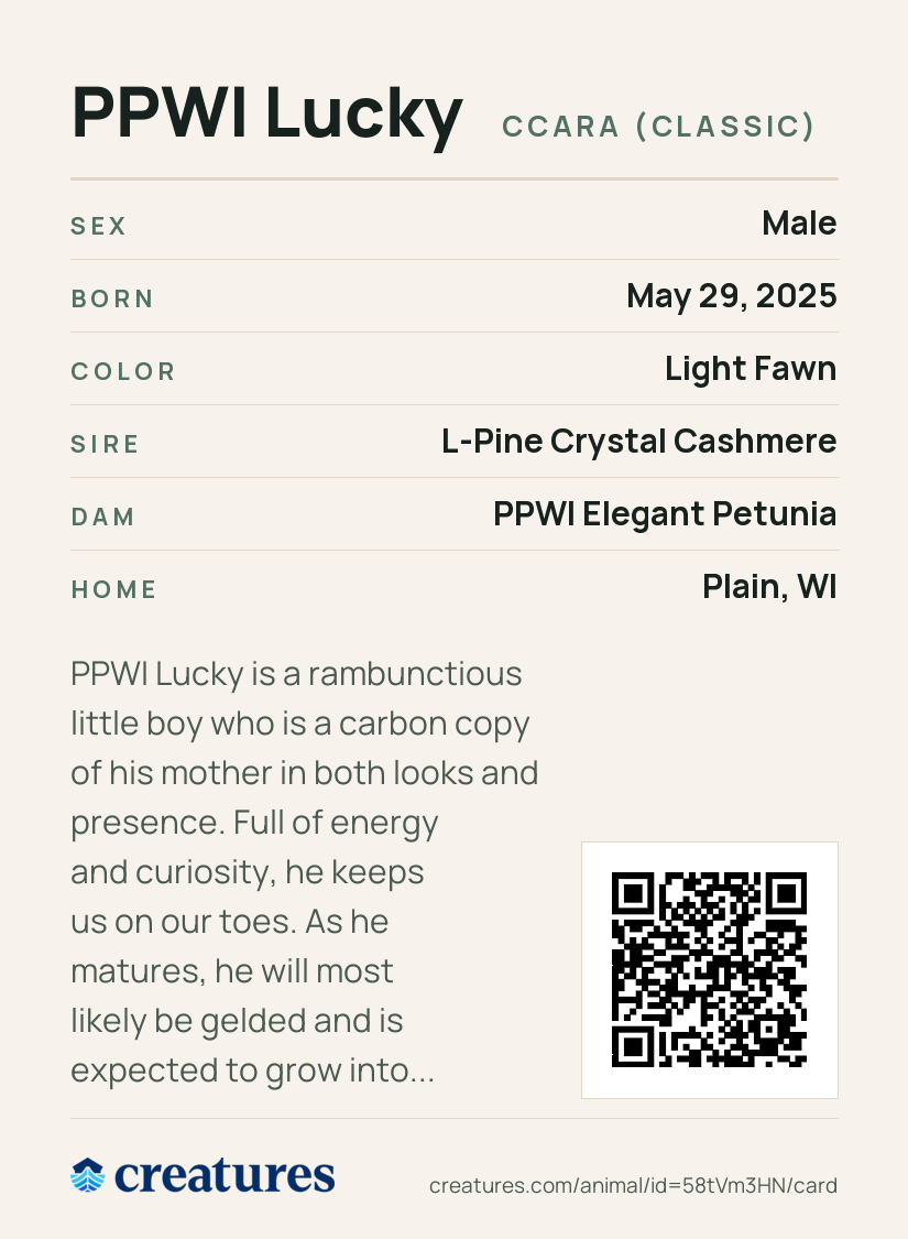 PPWI Lucky Creature Card back
