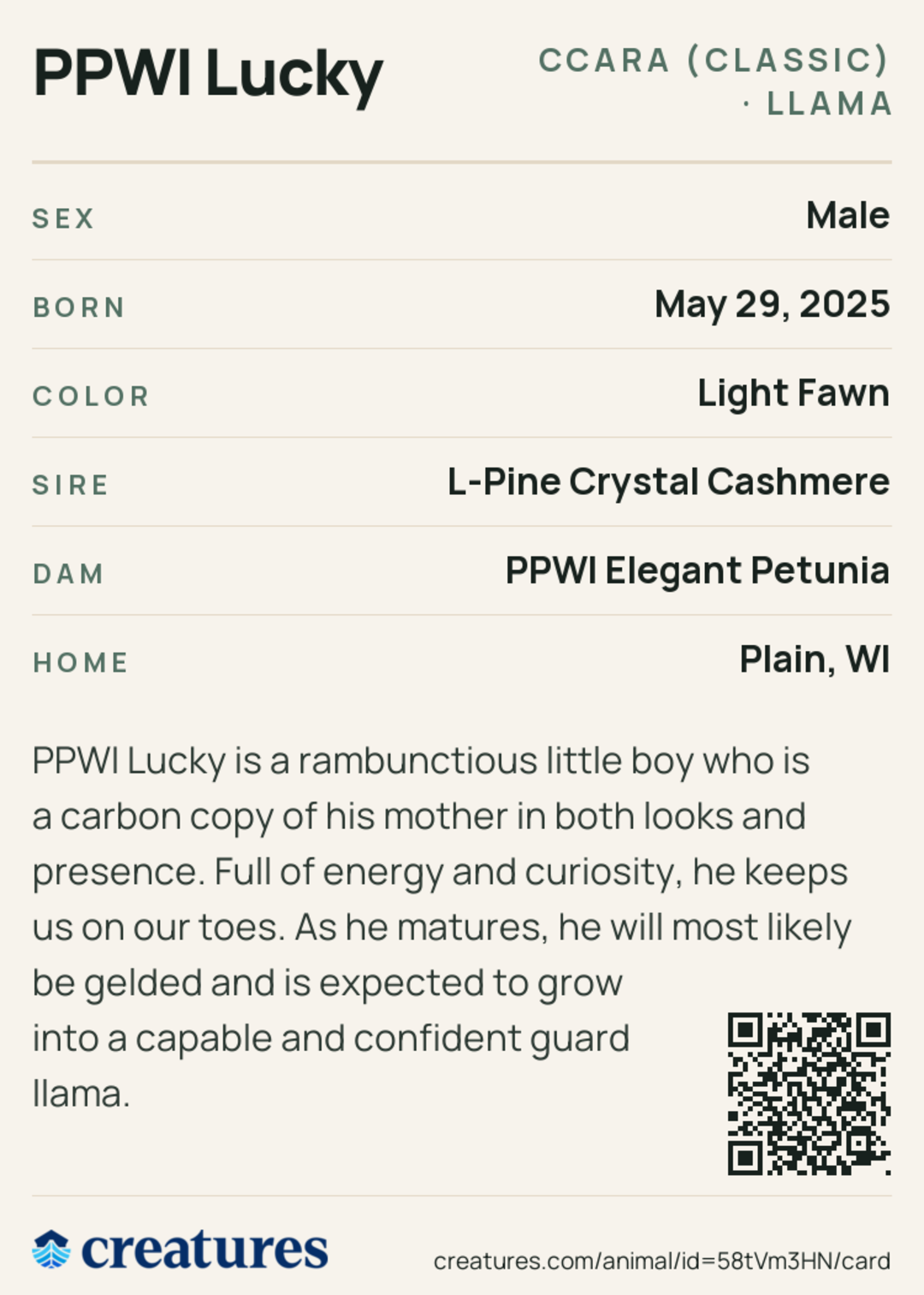 PPWI Lucky Creature Card back