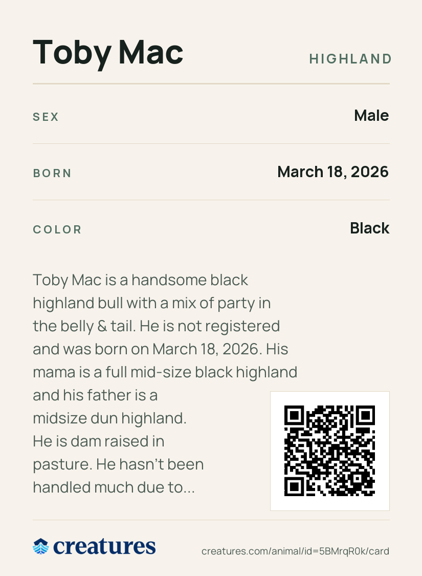 Toby Mac Creature Card back