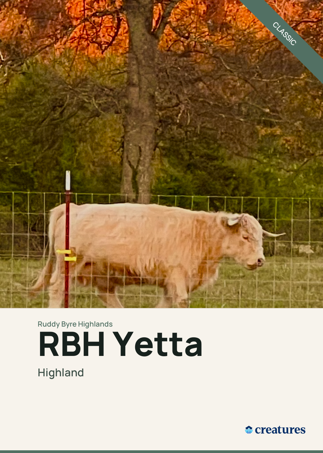 RBH Yetta Creature Card