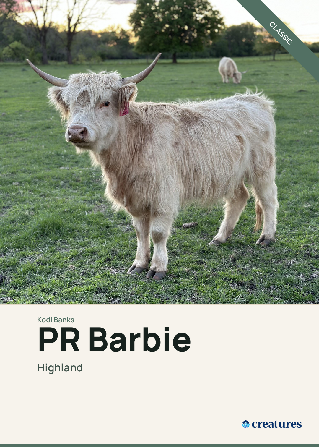 PR Barbie Creature Card