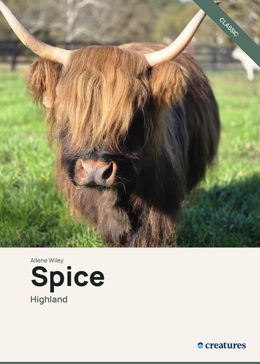 Spice Creature Card