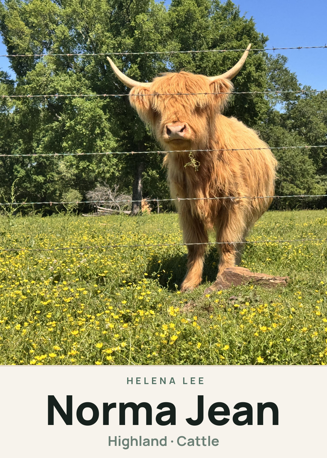 Norma Jean Creature Card