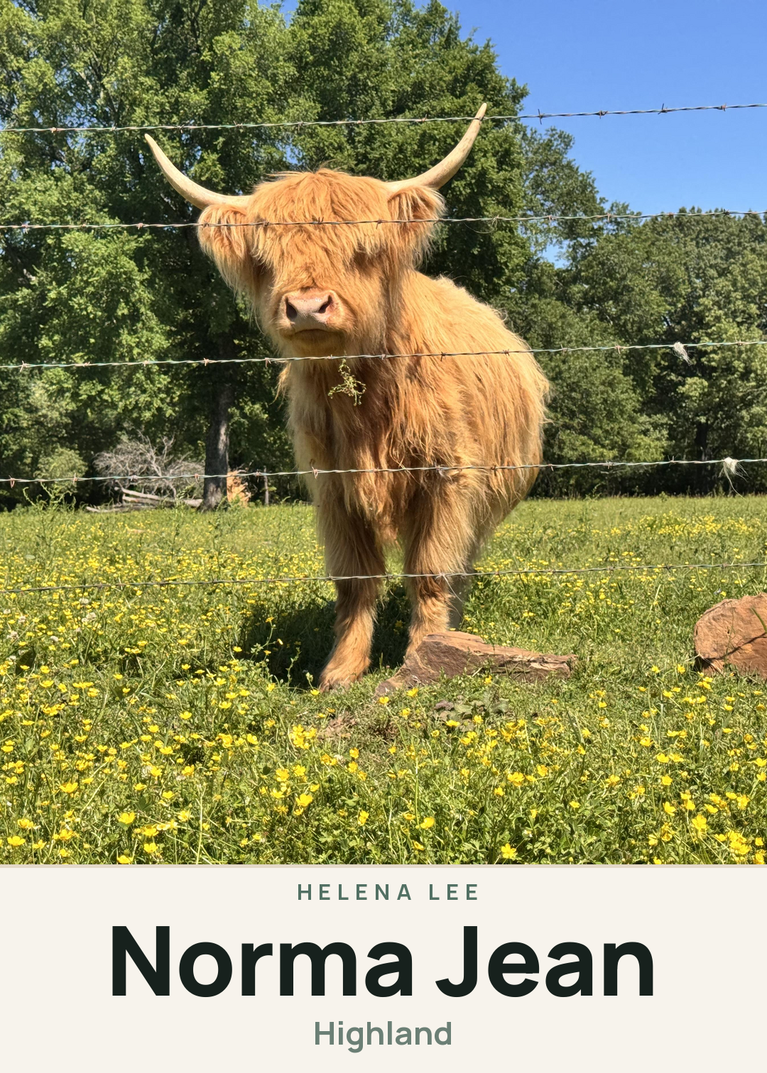 Norma Jean Creature Card