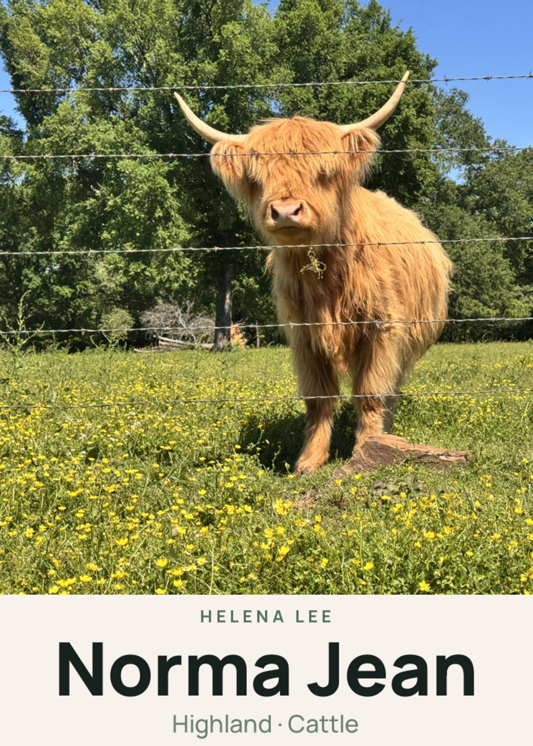 Norma Jean Creature Card