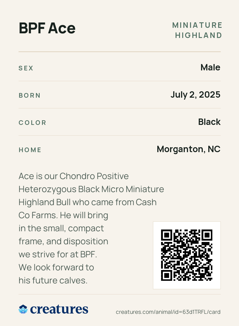 BPF Ace Creature Card back