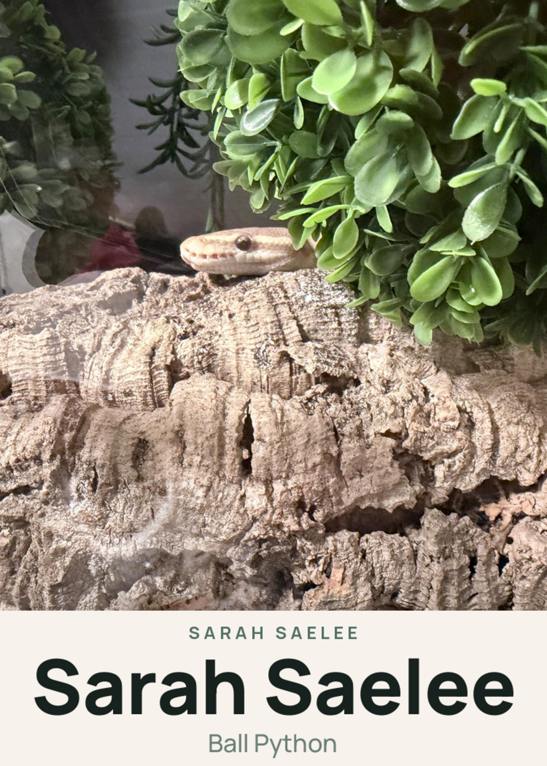 Sarah Saelee Creature Card