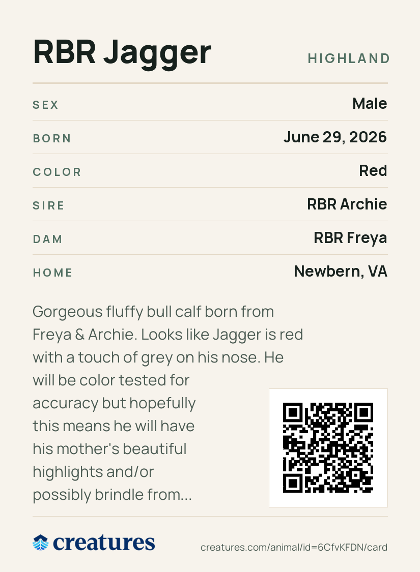 RBR Jagger Creature Card back
