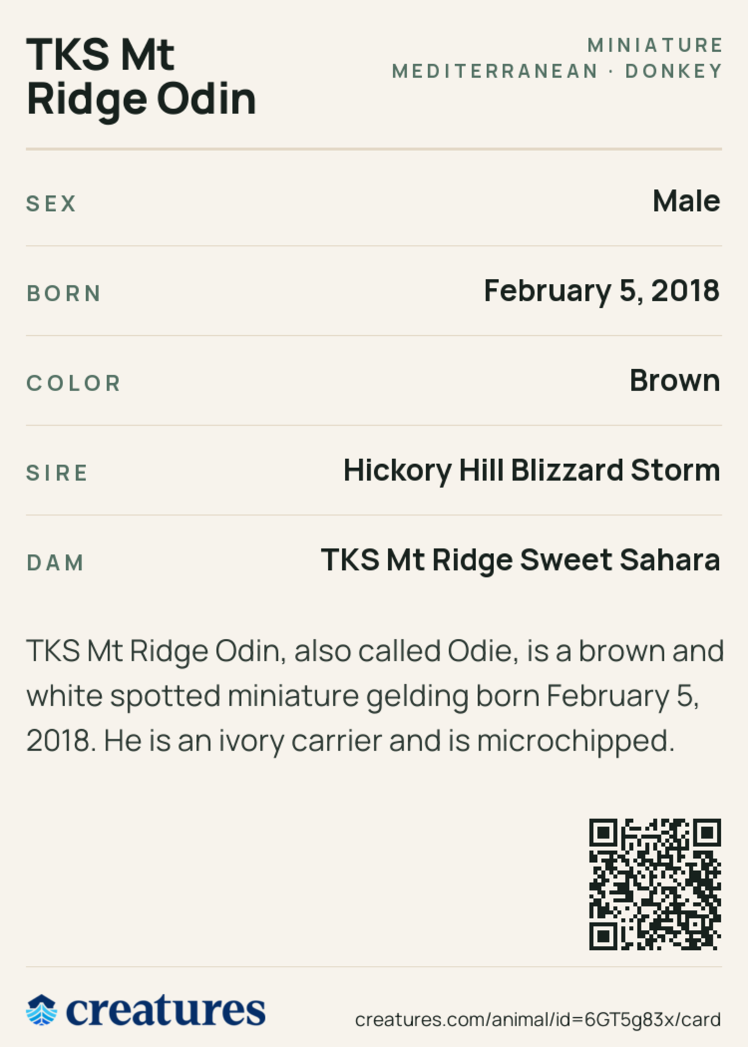 TKS Mt Ridge Odin Creature Card back