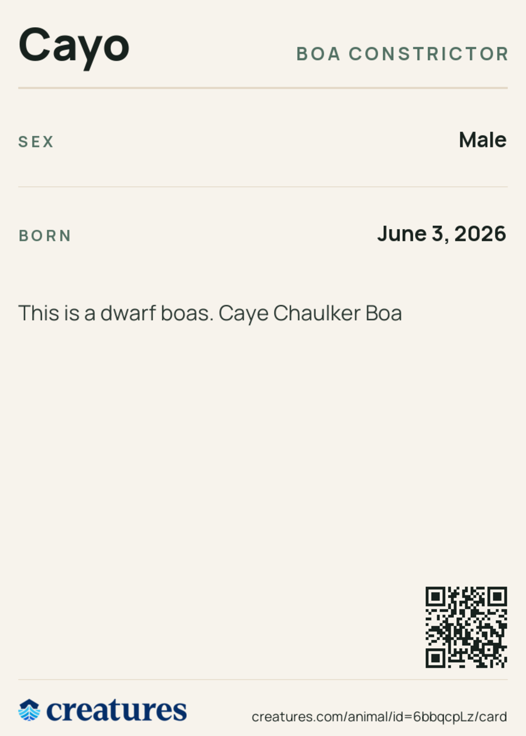 Cayo Creature Card back