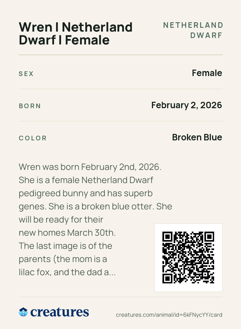 Wren | Netherland Dwarf | Female Creature Card back