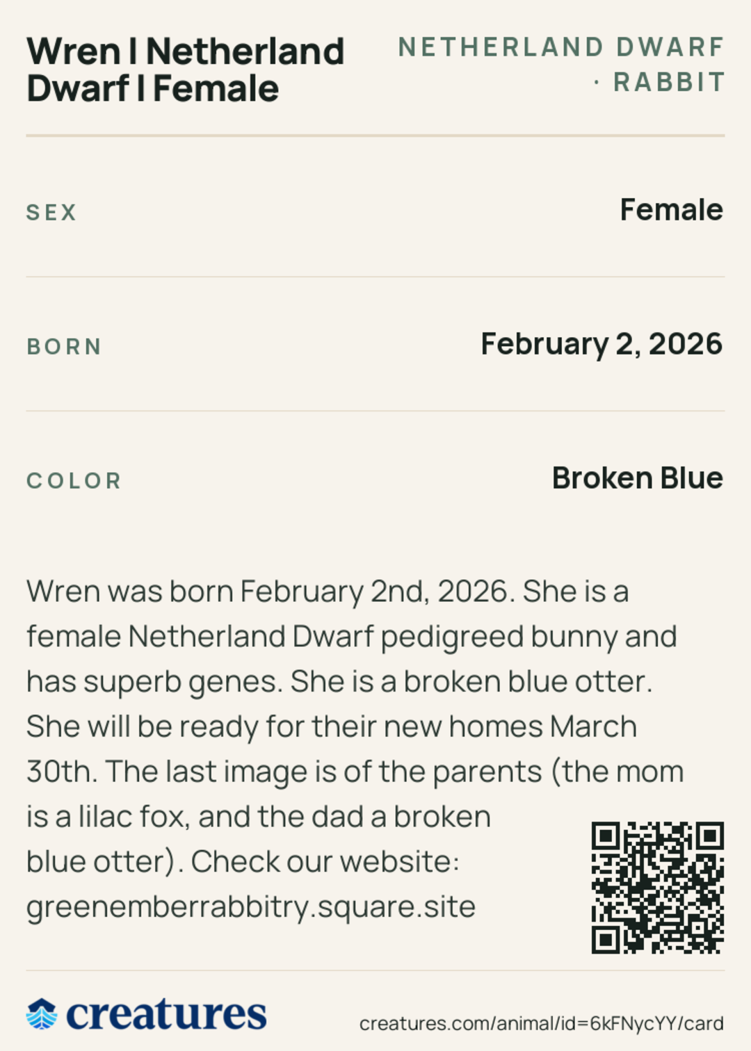 Wren | Netherland Dwarf | Female Creature Card back