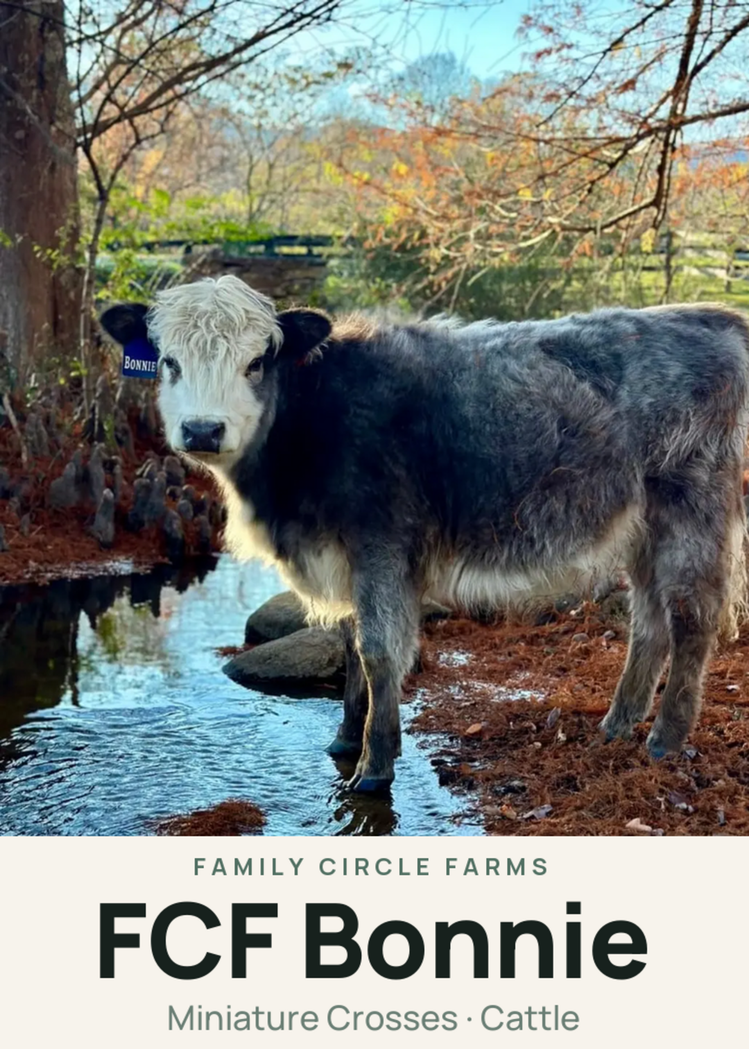FCF Bonnie Creature Card