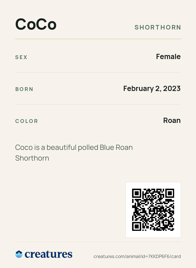 CoCo Creature Card back