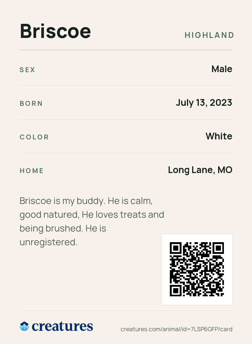 Briscoe Creature Card back