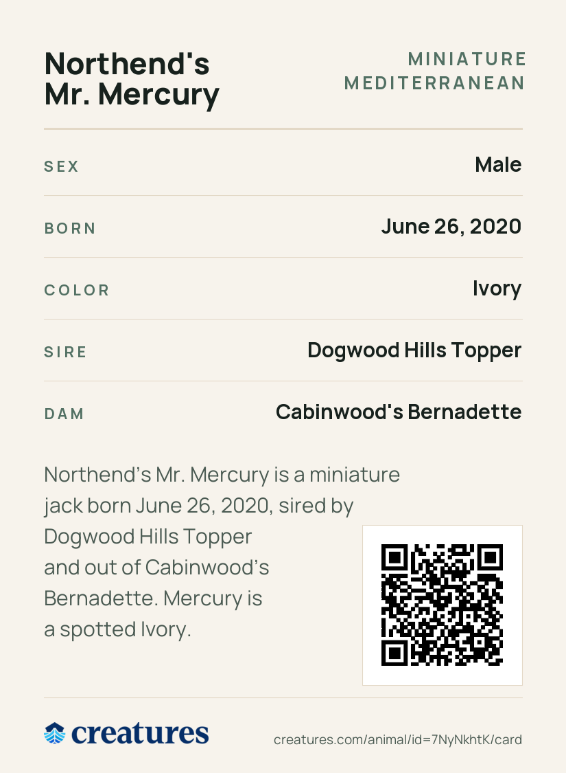 Northend's Mr. Mercury Creature Card back