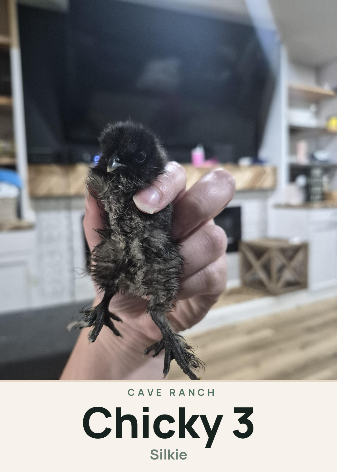 Chicky 3 Creature Card