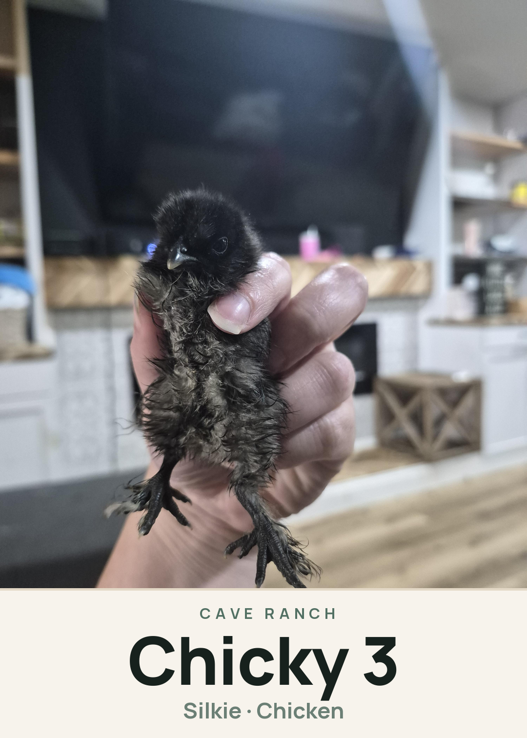 Chicky 3 Creature Card