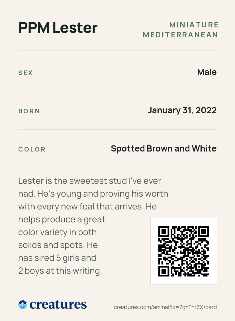 PPM Lester Creature Card back