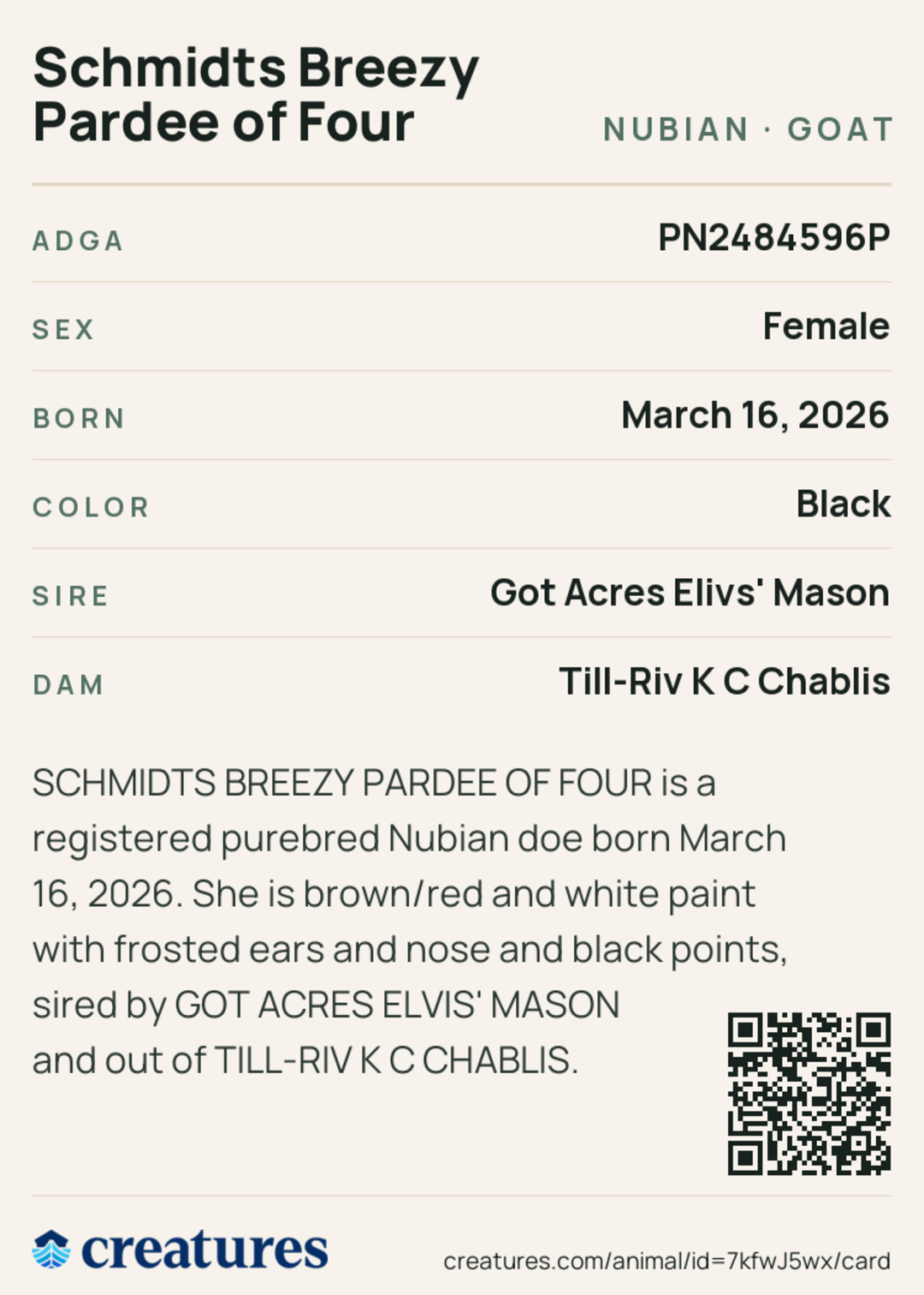 Schmidts Breezy Pardee of Four Creature Card back