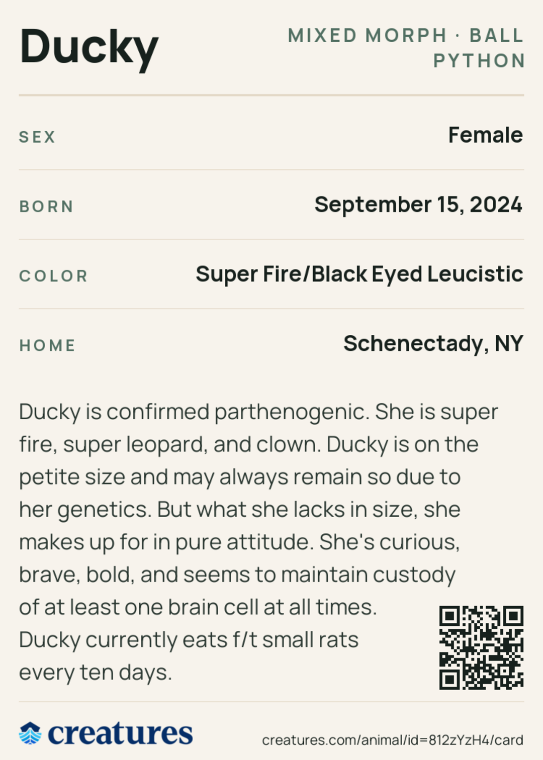 Ducky Creature Card back