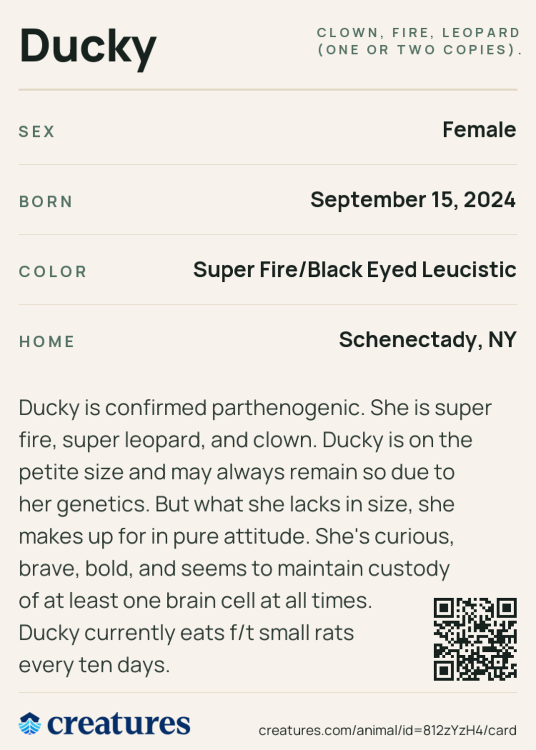 Ducky Creature Card back
