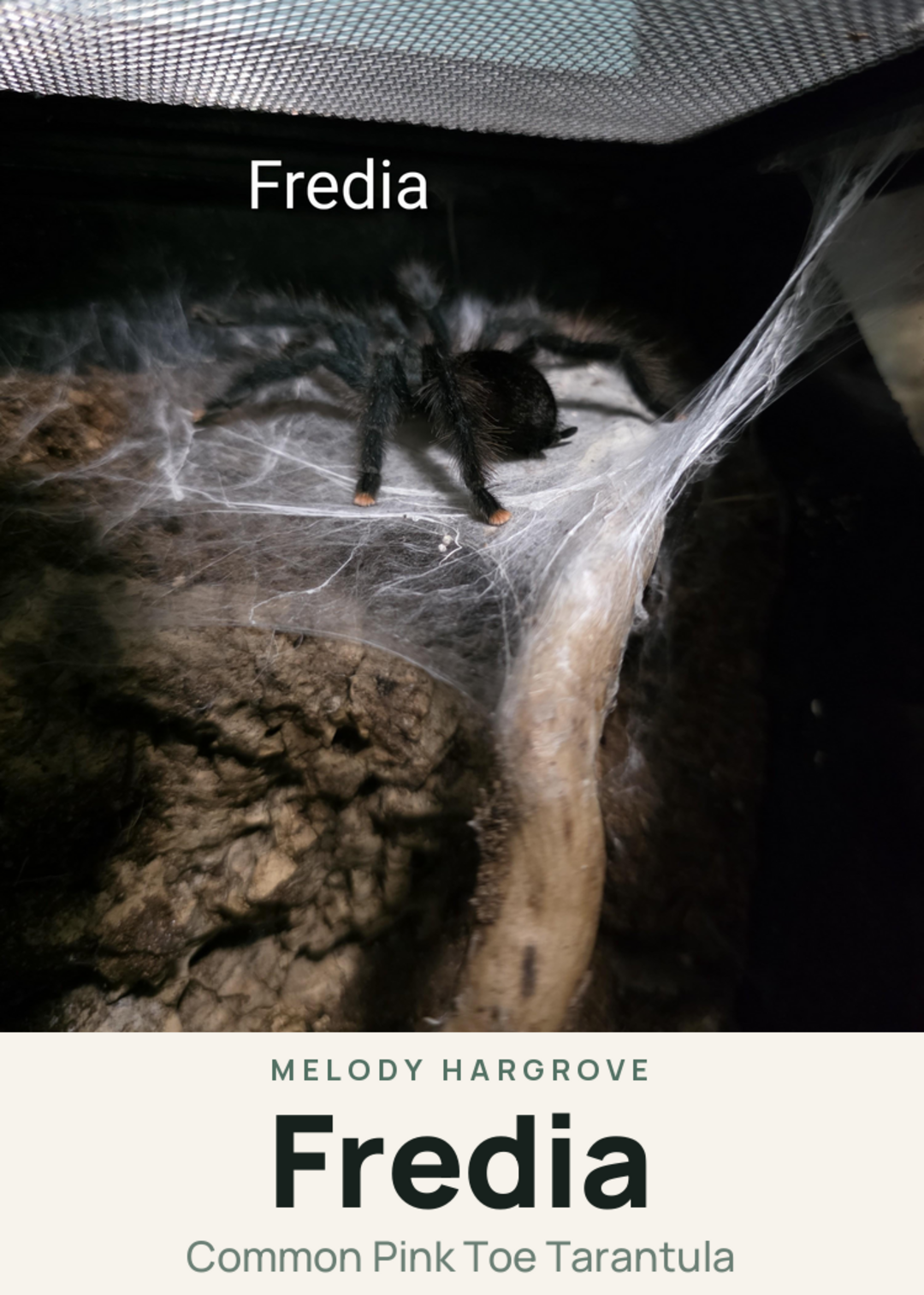 Fredia Creature Card